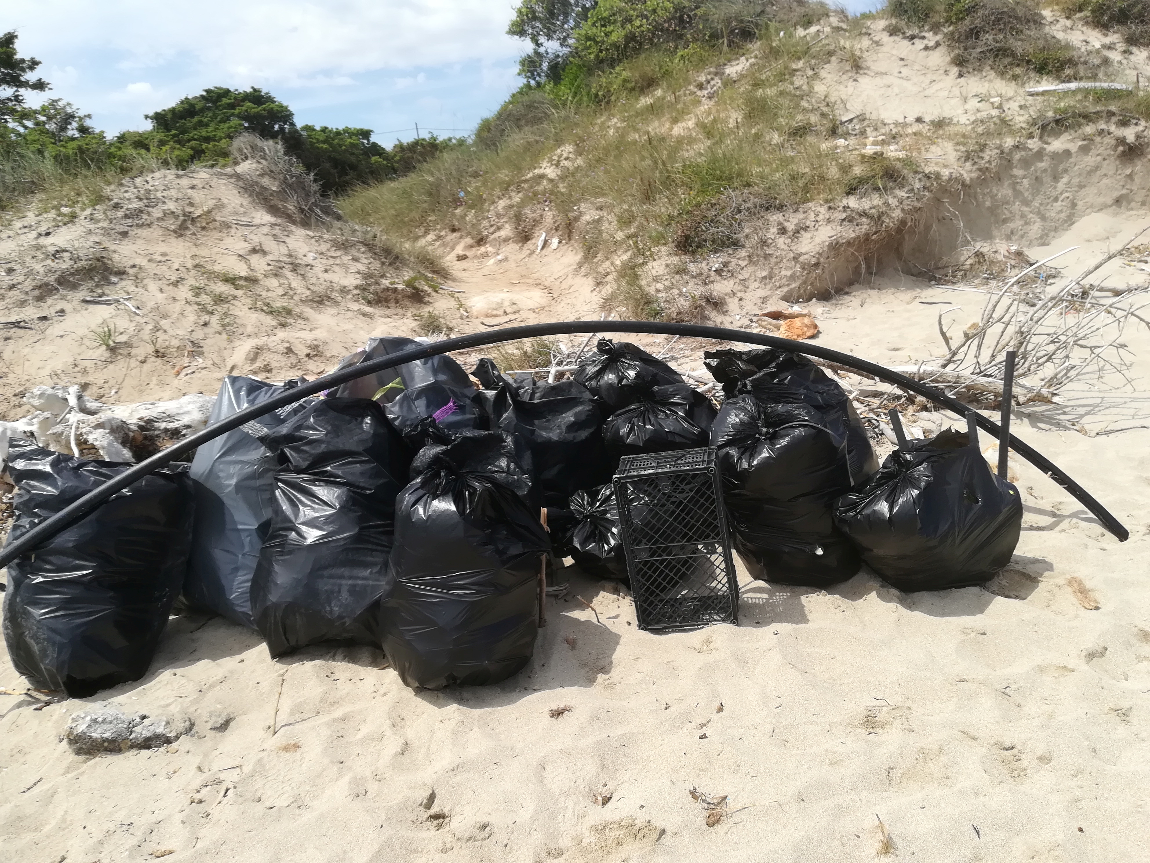 Beach cleaning